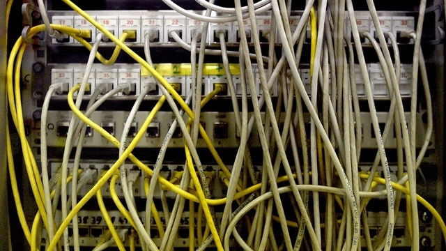 Discover the Best <strong>fish link</strong> at Unbeatable Prices